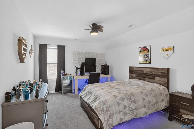 242 Paladin Str Paladin Street, New Market, AL 35761