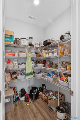 242 Paladin Str Paladin Street, New Market, AL 35761