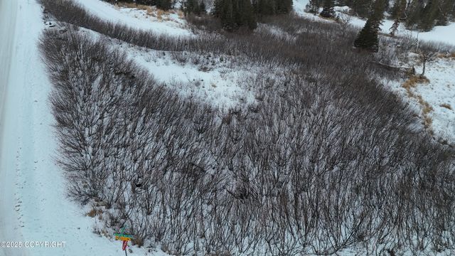 L3 B2 Sandpiper Drive, Anchorage, AK 99516