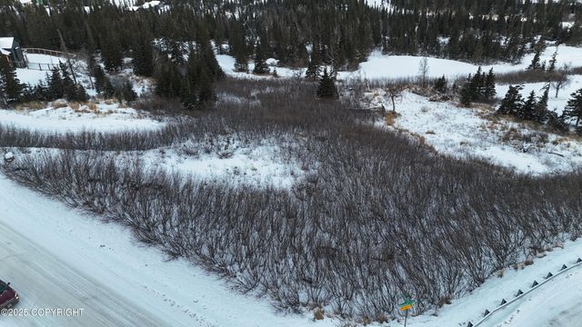 L3 B2 Sandpiper Drive, Anchorage, AK 99516