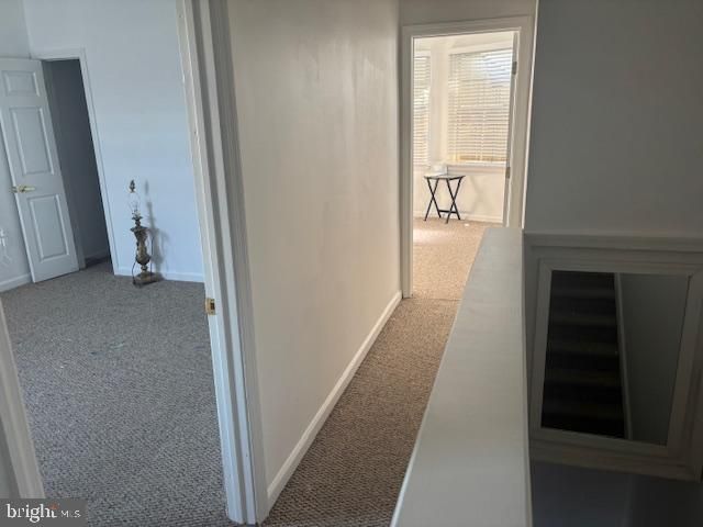 MARYLAND, Atlantic City, NJ 08404