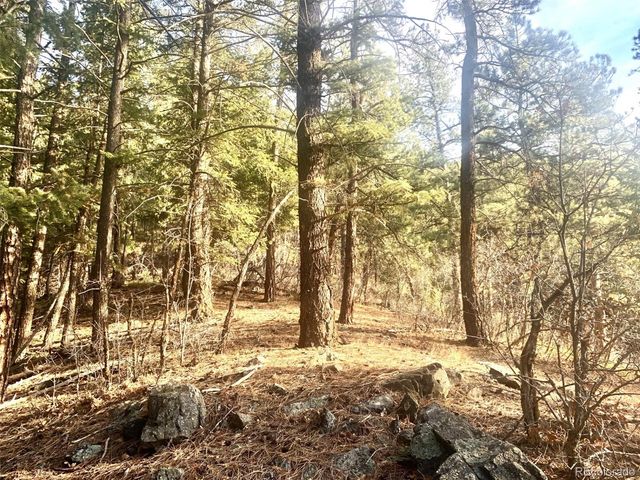 10510 S Deer Creek Road, Littleton, CO 80127