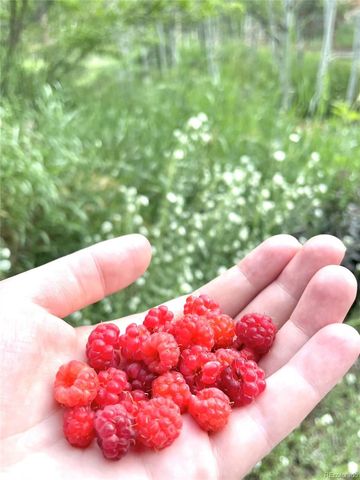 10510 S Deer Creek Road, Littleton, CO 80127