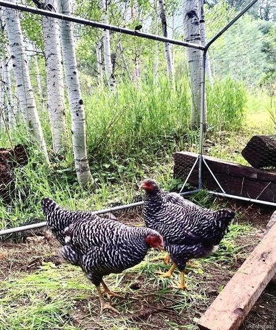 10510 S Deer Creek Road, Littleton, CO 80127