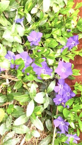 10510 S Deer Creek Road, Littleton, CO 80127