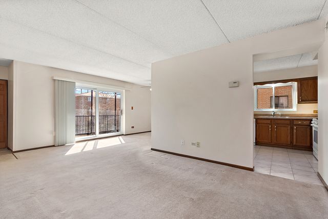 8160 168th Place 2W, Tinley Park, IL 60477