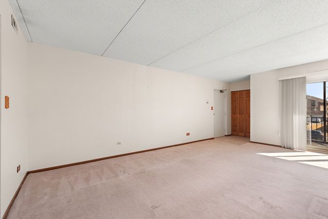 8160 168th Place 2W, Tinley Park, IL 60477