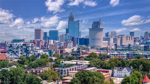 3118 Vine Court, Cleveland, OH 44113