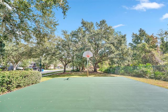 10218 SHADOW BRANCH DRIVE, Tampa, FL 33647