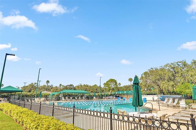 10218 SHADOW BRANCH DRIVE, Tampa, FL 33647