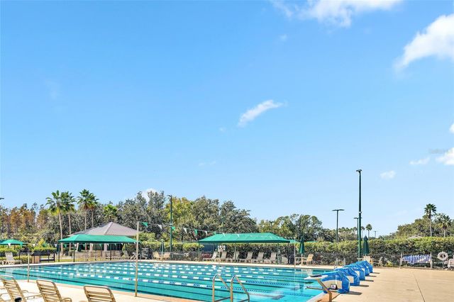 10218 SHADOW BRANCH DRIVE, Tampa, FL 33647