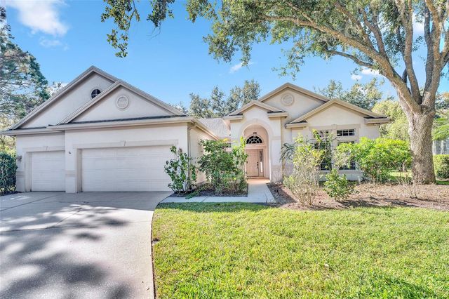 10218 SHADOW BRANCH DRIVE, Tampa, FL 33647