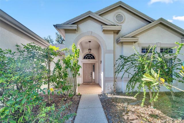 10218 SHADOW BRANCH DRIVE, Tampa, FL 33647