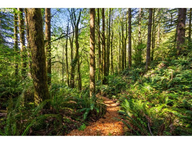 2838 LEWIS RIVER Rd, Woodland, WA 98674