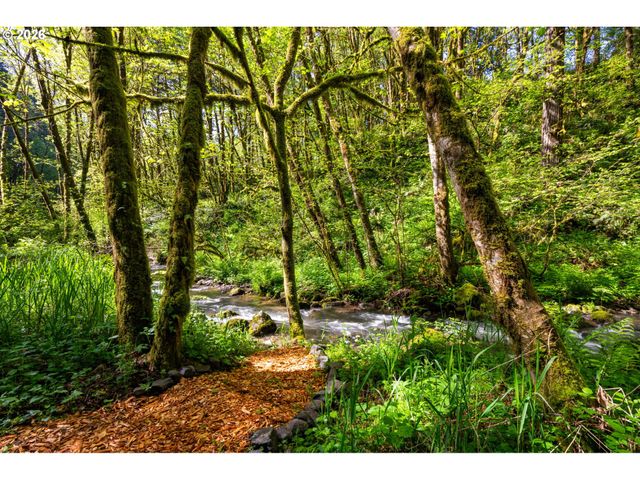 2838 LEWIS RIVER Rd, Woodland, WA 98674