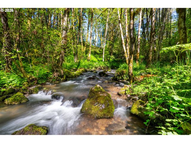 2838 LEWIS RIVER Rd, Woodland, WA 98674