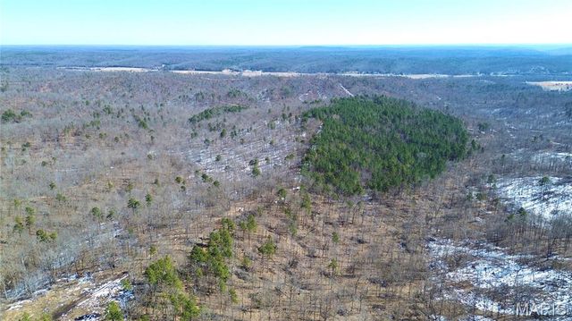 121A Madison CR 411, Fredericktown, MO 63645