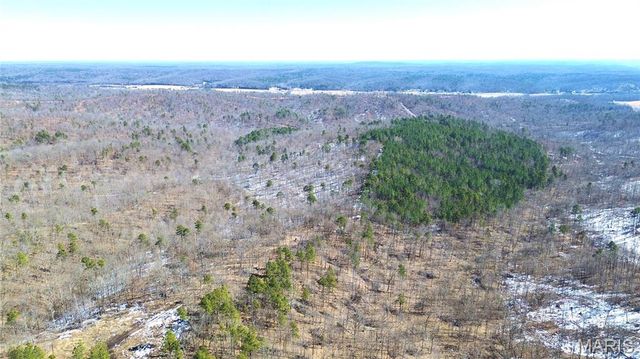 121A Madison CR 411, Fredericktown, MO 63645