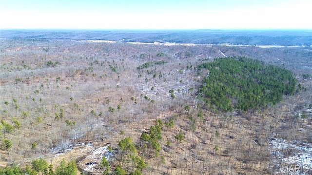 121A Madison CR 411, Fredericktown, MO 63645