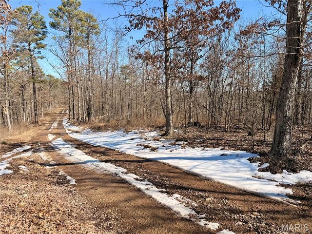 121A Madison CR 411, Fredericktown, MO 63645