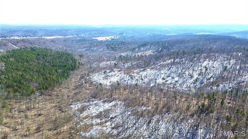 121A Madison CR 411, Fredericktown, MO 63645