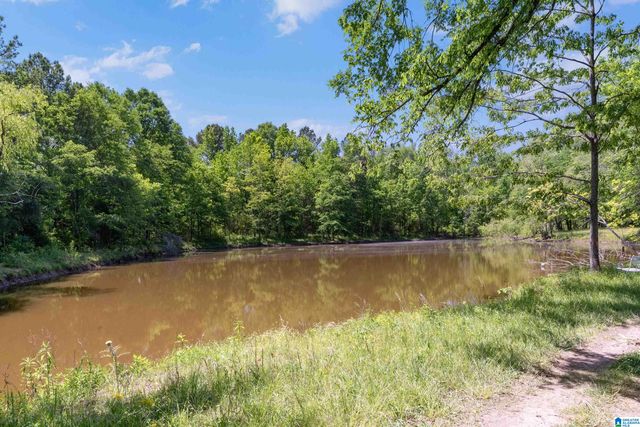 310 HIGHWAY 202, Calera, AL 35040