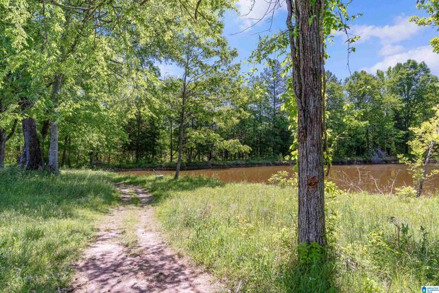 310 HIGHWAY 202, Calera, AL 35040