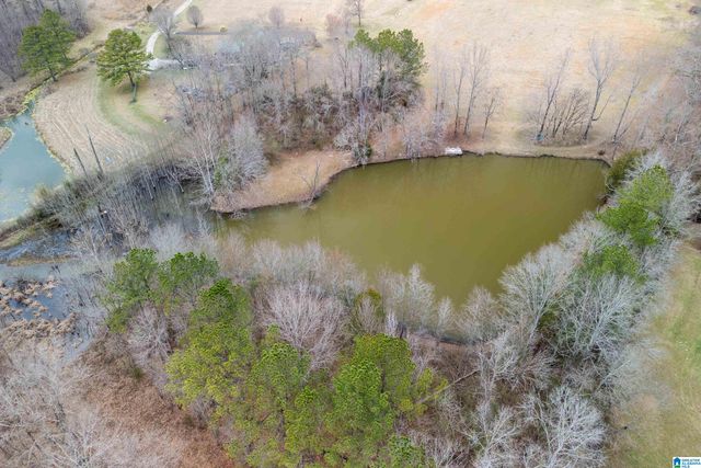 310 HIGHWAY 202, Calera, AL 35040
