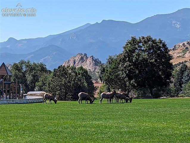 5454 Majestic Drive, Colorado Springs, CO 80919