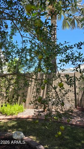 3020 E FRIESS Drive, Phoenix, AZ 85032