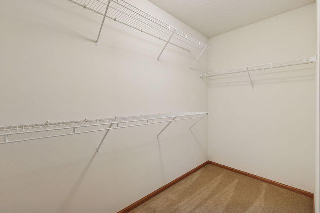 2732 Wagon Wheel Curve, Chaska, MN 55318