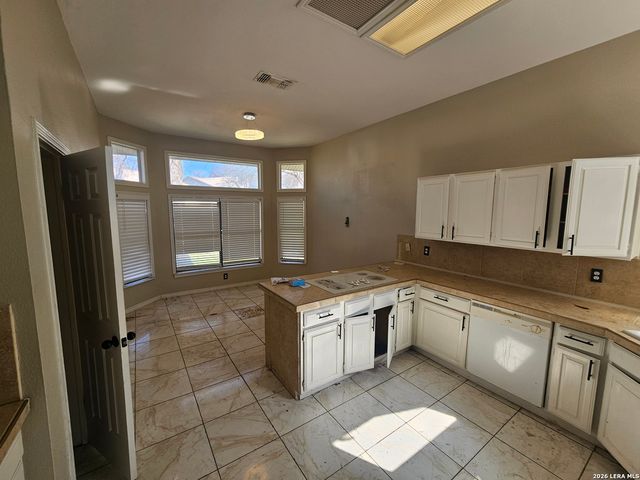 16903 Vista Forest Dr, San Antonio, TX 78247