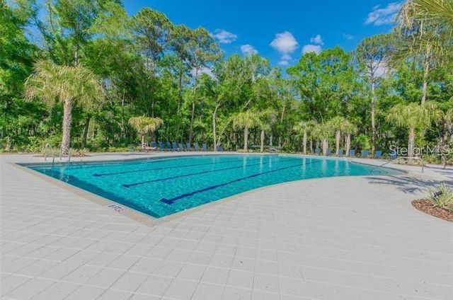 17801 WIND CHIME ROW, Land O Lakes, FL 34638