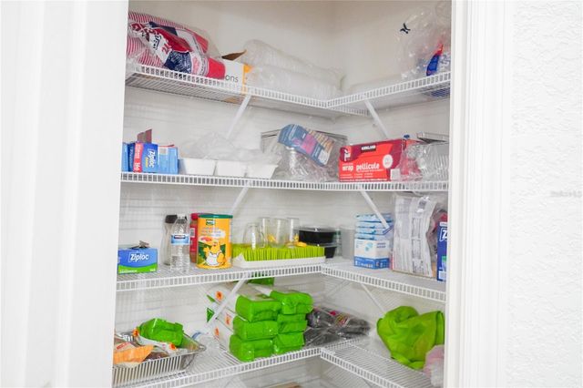 12288 CYPRESS BRANCH STREET, Riverview, FL 33579