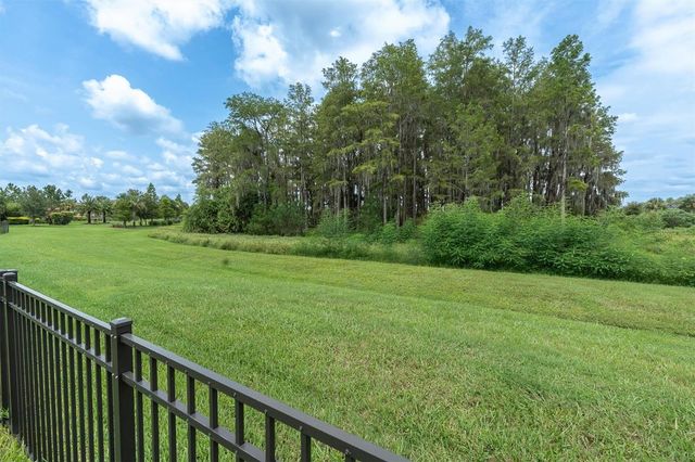 3142 FRANCOA DRIVE, Odessa, FL 33556