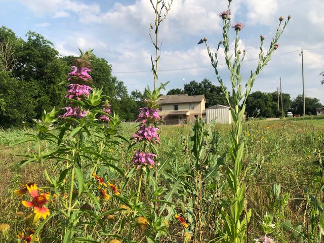 5227 E Fm 875, Waxahachie, TX 75167