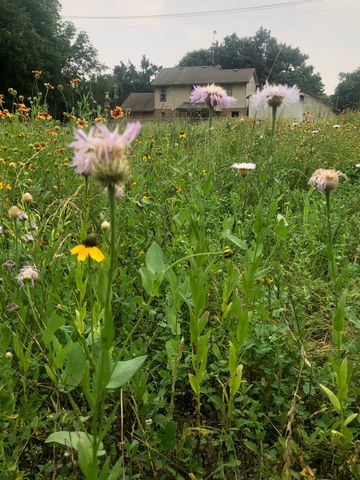 5227 E Fm 875, Waxahachie, TX 75167