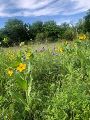 5227 E Fm 875, Waxahachie, TX 75167