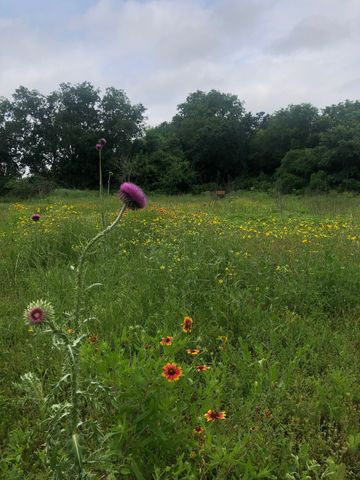 5227 E Fm 875, Waxahachie, TX 75167