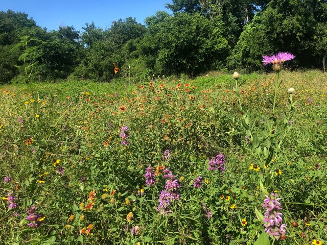 5227 E Fm 875, Waxahachie, TX 75167