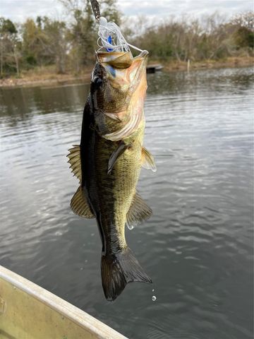 14556 County Road 445, Marquez, TX 77865