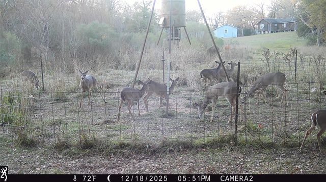 14556 County Road 445, Marquez, TX 77865