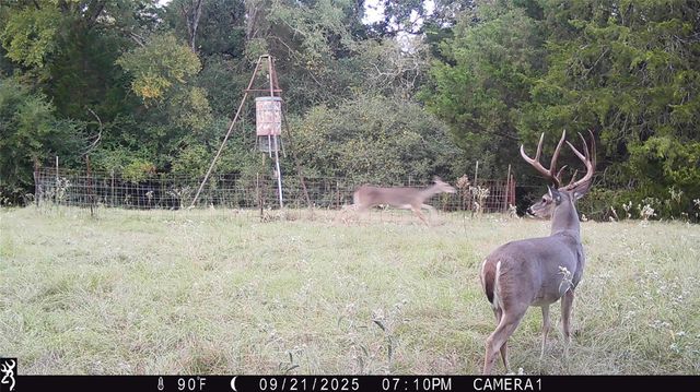 14556 County Road 445, Marquez, TX 77865