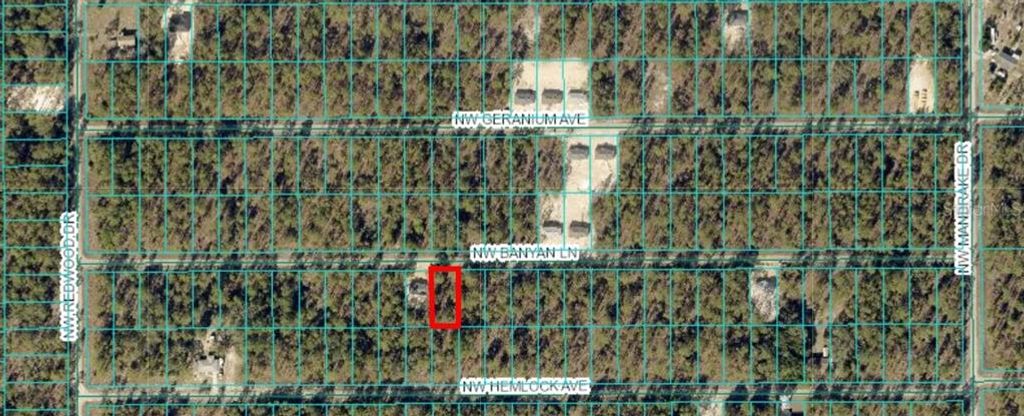 TBD NW BANYAN LN, LOT 14, Dunnellon, FL 34431