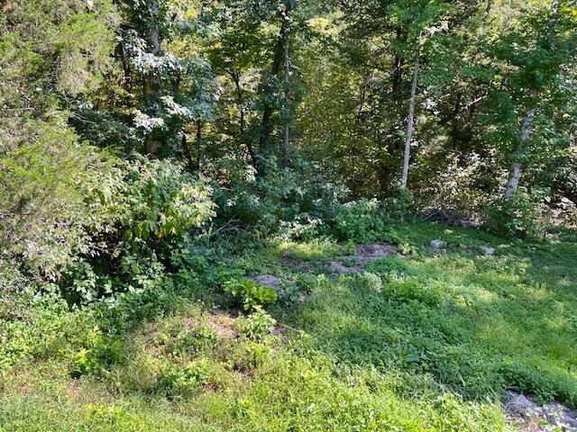 HC 73 Box 99, Marble Falls, AR 72648