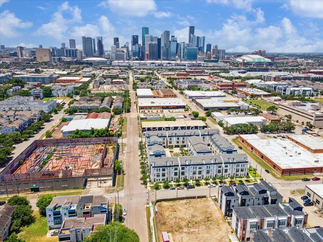 1119 Paige Street, Houston, TX 77003