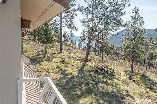 241 Chickadee Mountain Lane, Chelan, WA 98816