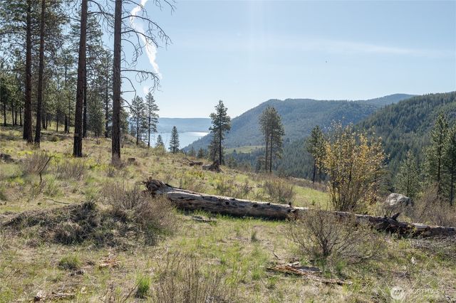 241 Chickadee Mountain Lane, Chelan, WA 98816