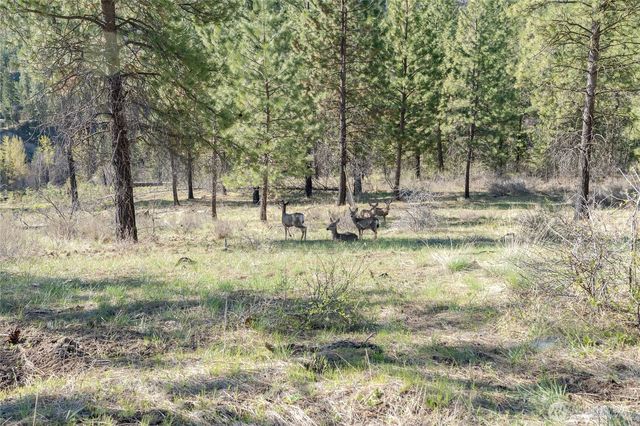 241 Chickadee Mountain Lane, Chelan, WA 98816