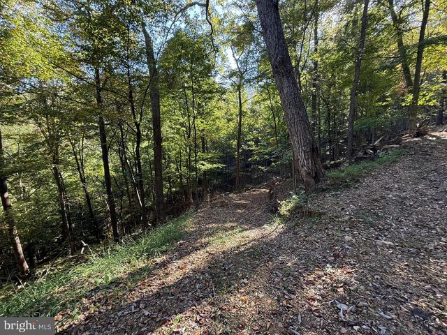 372 PINECONE DR, Purgitsville, WV 26852